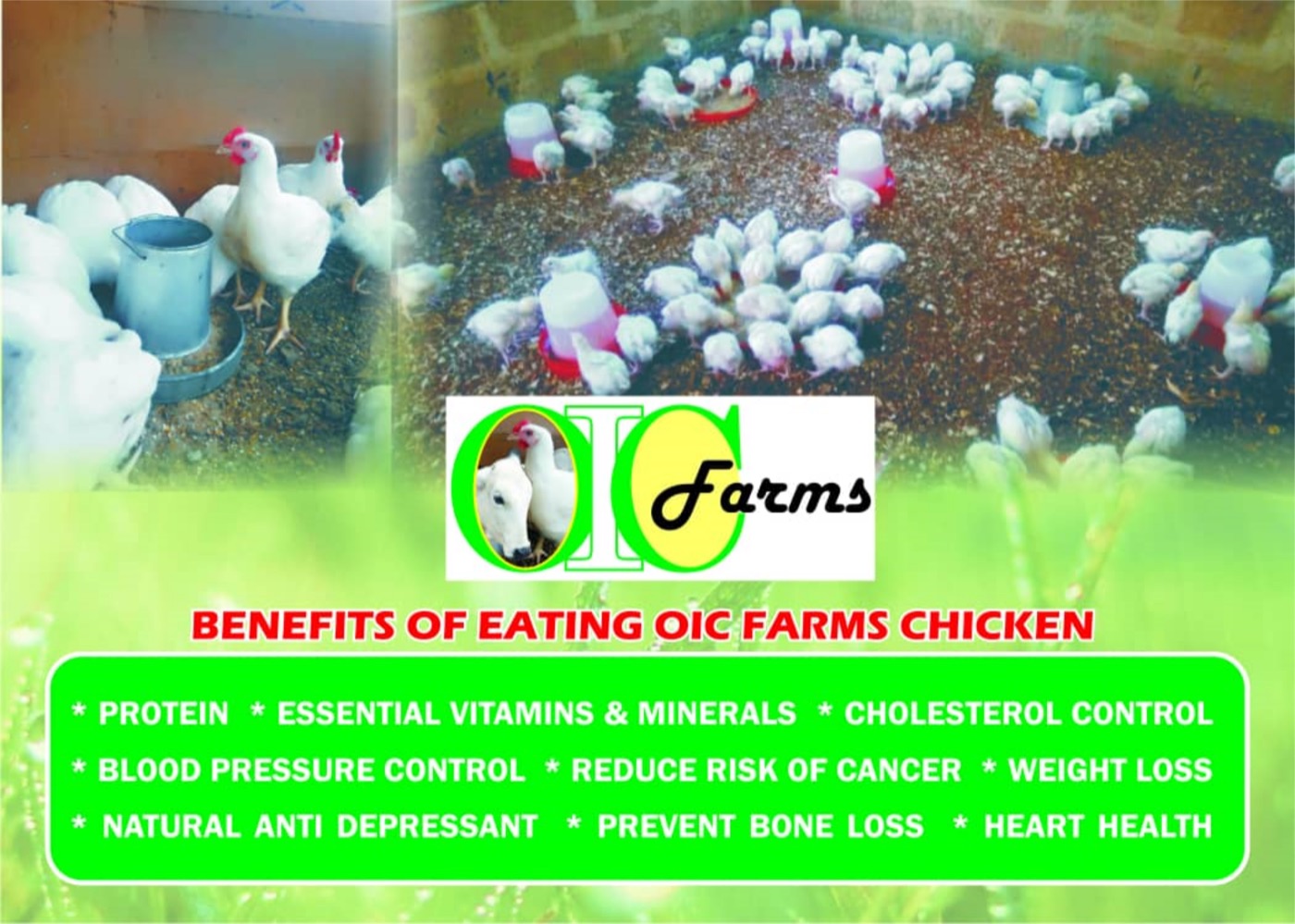 Benefits of eating OIC Farms chicken: protein, essential vitamins and minerals, cholesterol control, blood pressure control, reduce risk of cancer, weight loss, natural anti depressant, prevent bone loss, heart health